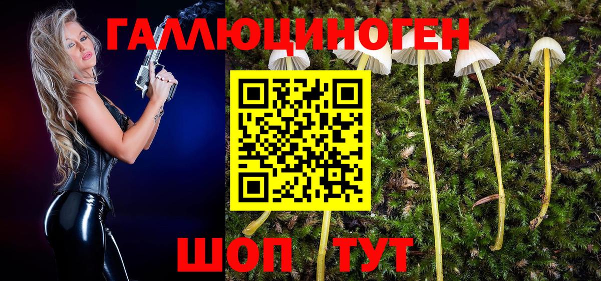 Галлюциногенные грибы GOLDEN TEACHER Санкт-Петербург