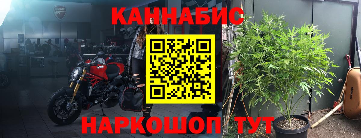 Бошки марихуана SATIVA & INDICA  Марихуана планчик  Шишки марихуана Ganja  Санкт-Петербург  Вход с VPN 